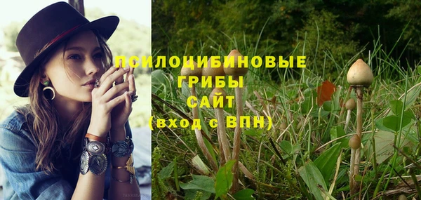прущий лед Абдулино